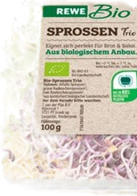 REWE Bio Sprossen Trio