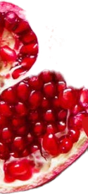 Granatapfel
