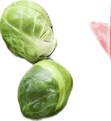 Rosenkohl