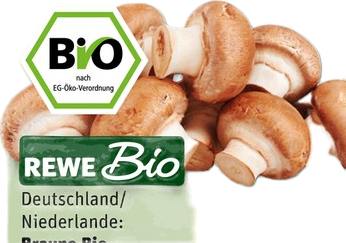 REWE Bio Braune Bio Champignons
