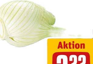 Fenchel