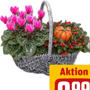 Herbstgefäß bepflanzt